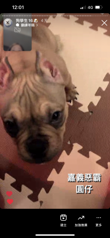 狗狗訓練師Lia思原 - 