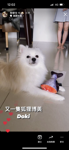 狗狗訓練師Lia思原 - 