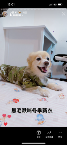 狗狗訓練師Lia思原 - 