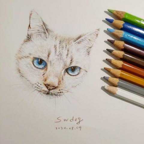 葉政瑜 - 色鉛筆