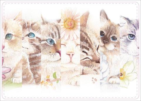 葉政瑜 - 手繪結合電腦、平面設計