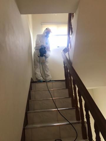 新安消毒除蟲防治大師 - 病毒清消作業