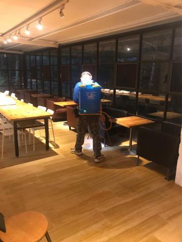 新安消毒除蟲防治大師 - 跳蚤防治