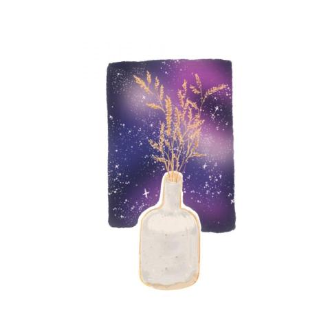 陳魚 - 宇宙系列&mdash;銀河小花瓶