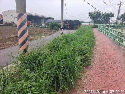 阿忠企業社 - 割草服務（作業前照片）