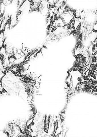 林嘉如 - 平面設計 林嘉如 - 平面設計