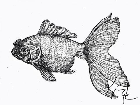 黃姿婷 - 代針筆點描畫