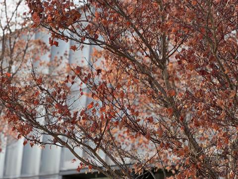 許亞婷 - 風景拍攝