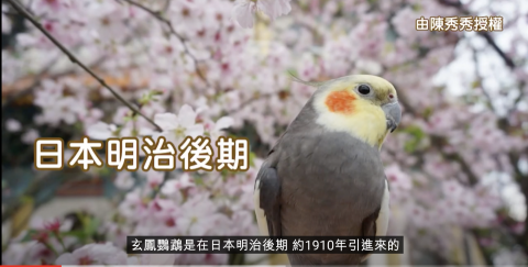 瑞Rei - 影片字幕 後製 與剪輯