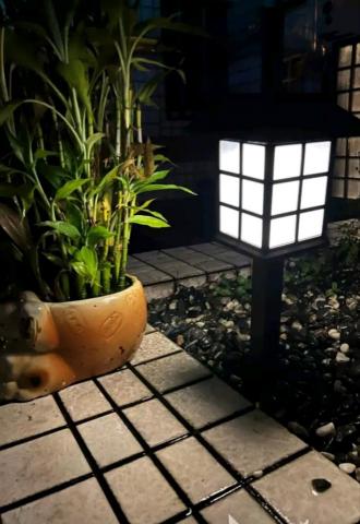 李紀達 - 草坪燈拍攝