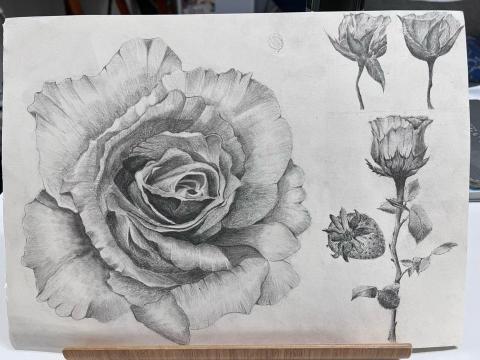 Liberty Land自由之境藝術工作室 - 