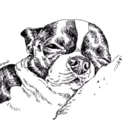 提供法文服務的專家Happy Mao