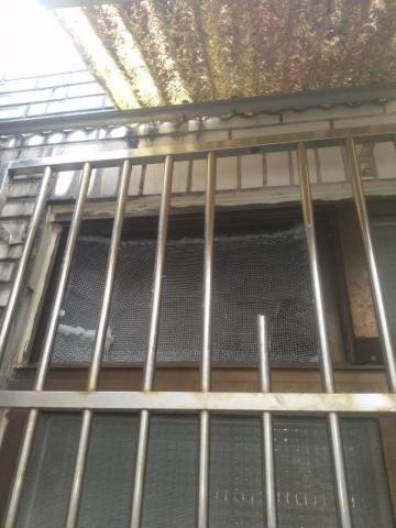 嘉澤滅鼠封堵防治工程 - 老鼠鐵網封毒 嘉澤滅鼠封堵防治工程 - 老鼠鐵網封毒