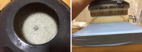 恩典愛家居家清潔 - 床墊吸出一桶泡沫水...,海豚的超強除螨吸力! 恩典愛家居家清潔 - 床墊吸出一桶泡沫水...,海豚的超強除螨吸力!