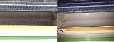 恩典愛家居家清潔 - 風鼓壁內的霉菌園區 恩典愛家居家清潔 - 風鼓壁內的霉菌園區