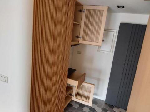 精品廚具.系統櫃 - 泰山區鞋櫃