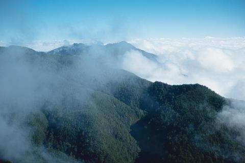 甜 X TIEN 女攝影師 -  甜 X TIEN 女攝影師 -