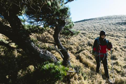 甜 X TIEN 女攝影師 -  甜 X TIEN 女攝影師 -