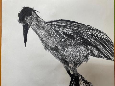 Daisy老師 - 六年級學生素描作品