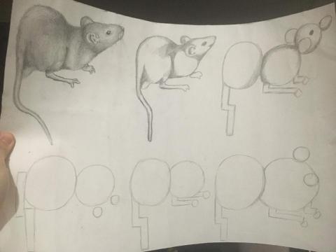 曾倩婷 - 高二美術作業