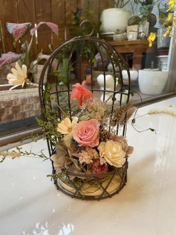 植感物語 -  植感物語 -