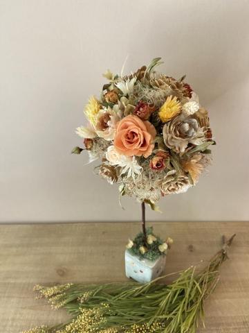 植感物語 -  植感物語 -