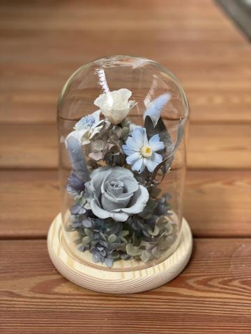 植感物語 -  植感物語 -