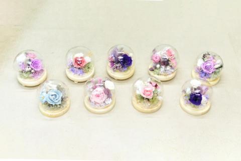 植感物語 - 小小的鐘罩花,用天馬行空的想像,配出一方宇宙,用一杯咖啡的時間,與自己的內在美好相遇。是極具成就感與療癒感的小作品。
 植感物語 - 小小的鐘罩花,用天馬行空的想像,配出一方宇宙,用一杯咖啡的時間,與自己的內在美好相遇。是極具成就感與療癒感的小作品。