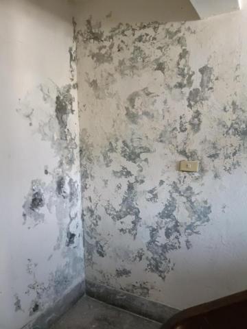 李世欽(豪麟工程)(免開挖、免打鑿地磚牆壁,當日可修 - 5樓公寓牆角壁癌嚴重,,壁癌處理 李世欽(豪麟工程)(免開挖、免打鑿地磚牆壁,當日可修 - 5樓公寓牆角壁癌嚴重,,壁癌處理