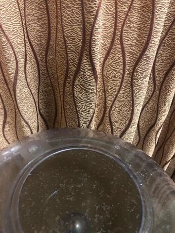 好日子 - 窗簾除塵蟎