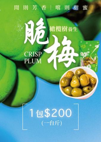 陳可捷 - 脆梅ＤＭ 