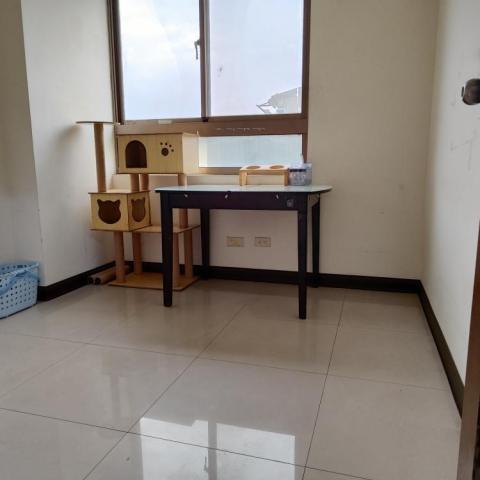 Elaine - 有飲水機