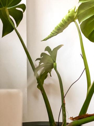 出外&middot;瑜珈 ｜ 私人瑜珈工作室 - 