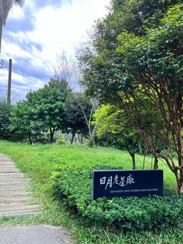 芝芝 - 照片色調調整