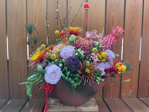 植感物語 -  植感物語 -