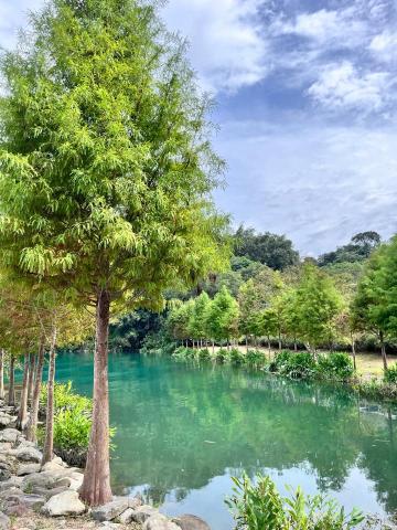 芝芝 - 照片色調調整