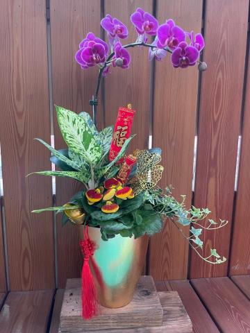 植感物語 -  植感物語 -