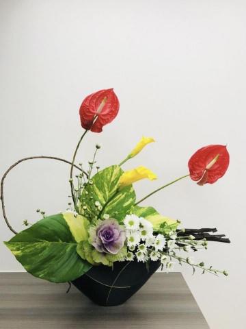 植感物語 -  植感物語 -