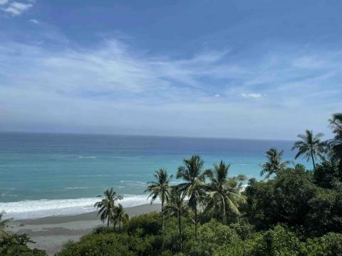 提供coach代購服務的專家LING