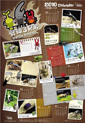 Whatis Design - 甲蟲年曆設計