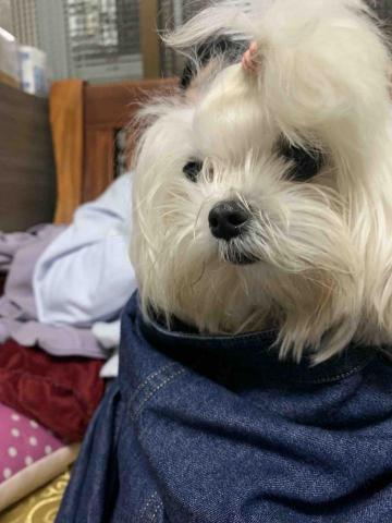 提供n4服務的專家林易瑤