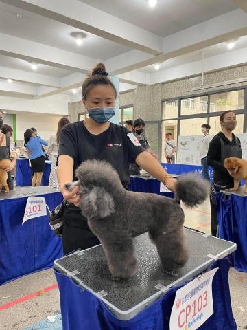 小毛怪寵物美容x到府遛狗 - 寵物美容證照考試