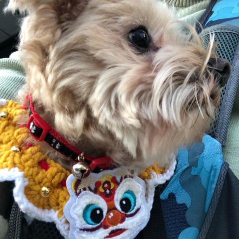 提供刻印章服務的專家Lala