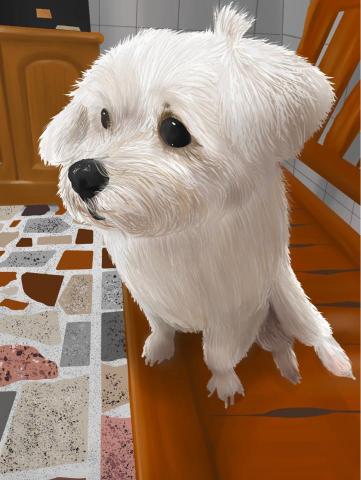 kimi說畫世界 -  kimi說畫世界 -