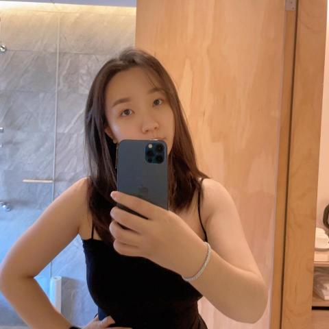 提供n3服務的專家吳蕙如