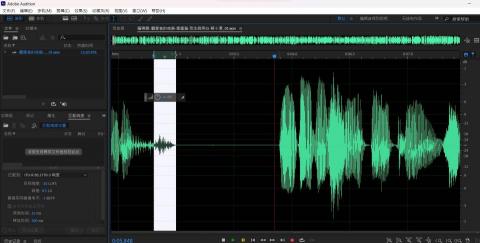 白芷 - 後製過程