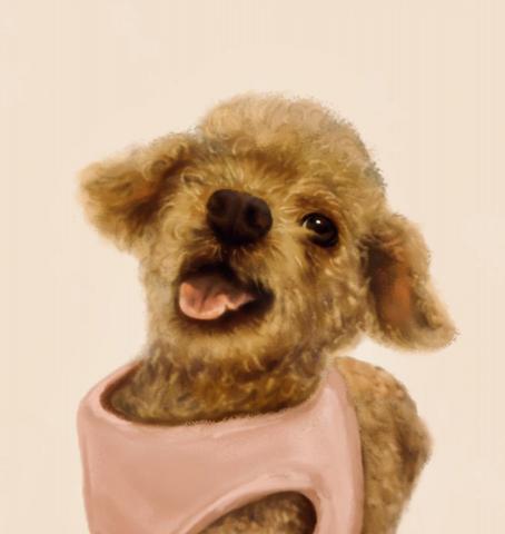 奧莉 - 電腦繪圖寫實版