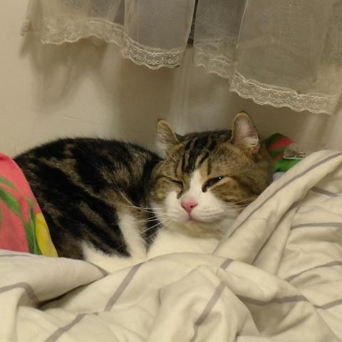 提供77服務的專家77