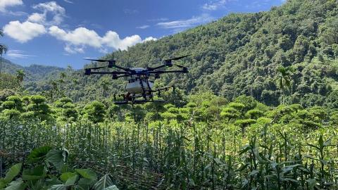 飛耀農業科技有限公司 - 開運竹噴藥
