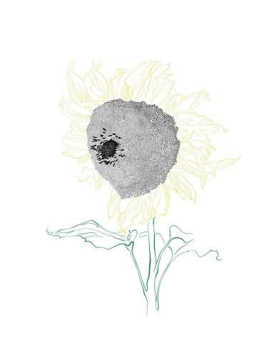 Hsiang Fu - By Illustrator  Hsiang Fu - By Illustrator